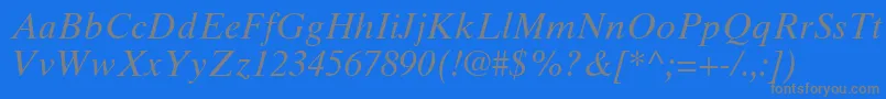 TimesTenCeItalic Font – Gray Fonts on Blue Background
