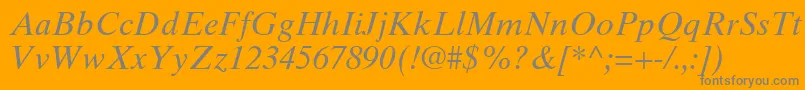 TimesTenCeItalic Font – Gray Fonts on Orange Background