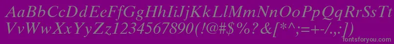 TimesTenCeItalic Font – Gray Fonts on Purple Background