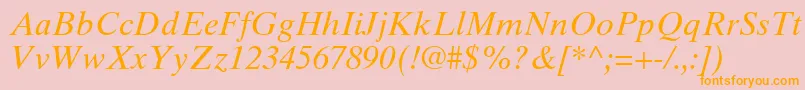 TimesTenCeItalic Font – Orange Fonts on Pink Background