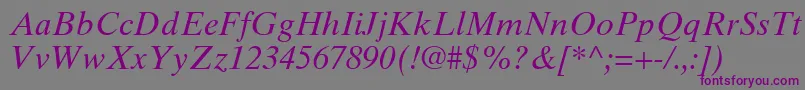 TimesTenCeItalic-fontti – violetit fontit harmaalla taustalla