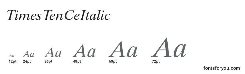 TimesTenCeItalic Font Sizes