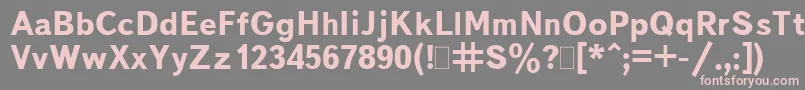 BukvarnayaBold.001.001 Font – Pink Fonts on Gray Background