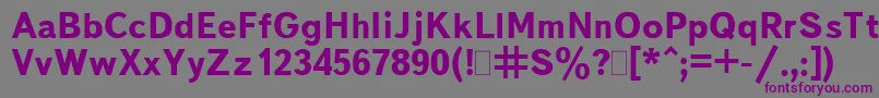 BukvarnayaBold.001.001 Font – Purple Fonts on Gray Background