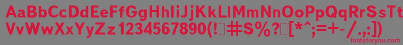 BukvarnayaBold.001.001 Font – Red Fonts on Gray Background