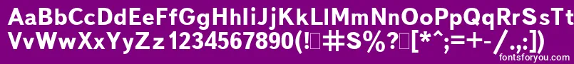 BukvarnayaBold.001.001 Font – White Fonts on Purple Background