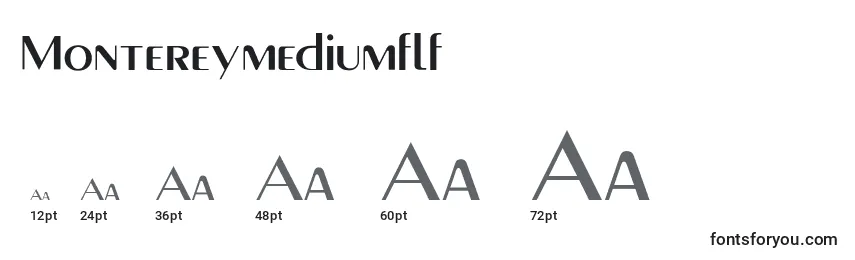 Размеры шрифта Montereymediumflf