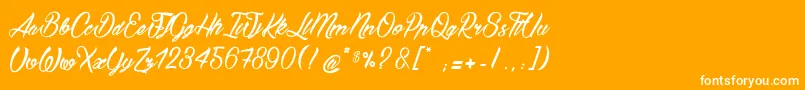 BostellaС† Font – White Fonts on Orange Background