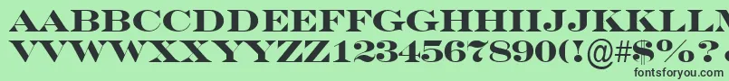 SeriferexptitulBold Font – Black Fonts on Green Background
