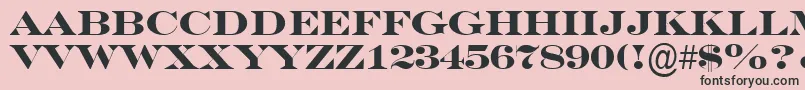 SeriferexptitulBold Font – Black Fonts on Pink Background