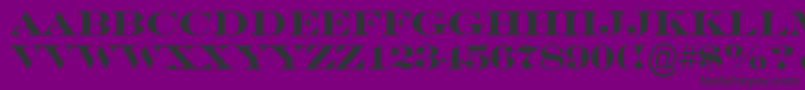 SeriferexptitulBold Font – Black Fonts on Purple Background