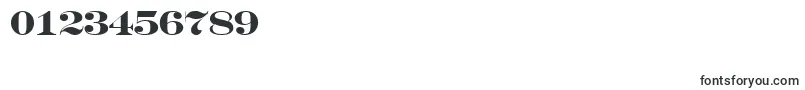 SeriferexptitulBold Font – Fonts for Numbers and Digits