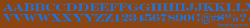SeriferexptitulBold Font – Blue Fonts on Brown Background