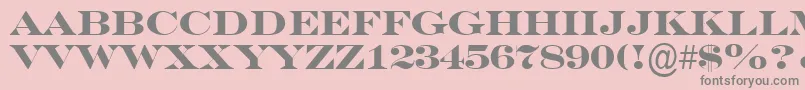 SeriferexptitulBold Font – Gray Fonts on Pink Background