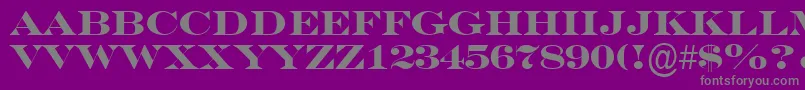 SeriferexptitulBold-Schriftart – Graue Schriften auf violettem Hintergrund