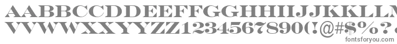 フォントSeriferexptitulBold – 白い背景に灰色の文字