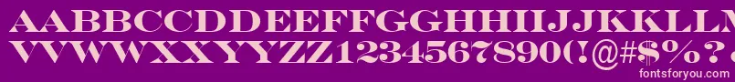 SeriferexptitulBold Font – Pink Fonts on Purple Background