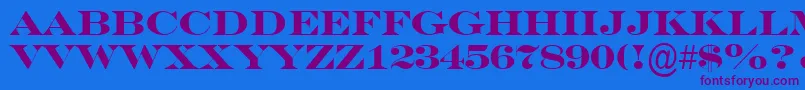 SeriferexptitulBold Font – Purple Fonts on Blue Background