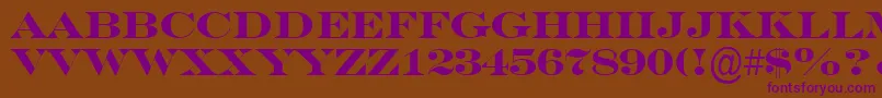 SeriferexptitulBold Font – Purple Fonts on Brown Background