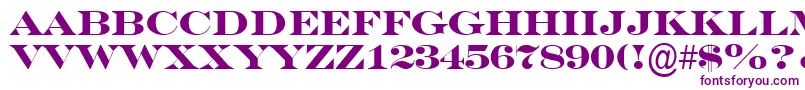 SeriferexptitulBold Font – Purple Fonts on White Background