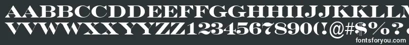 SeriferexptitulBold Font – White Fonts