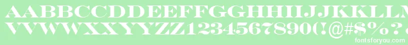 SeriferexptitulBold Font – White Fonts on Green Background