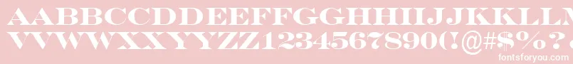 SeriferexptitulBold Font – White Fonts on Pink Background