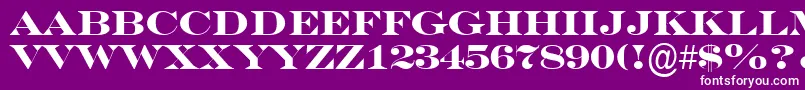 SeriferexptitulBold Font – White Fonts on Purple Background