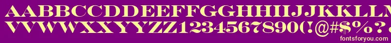 SeriferexptitulBold Font – Yellow Fonts on Purple Background