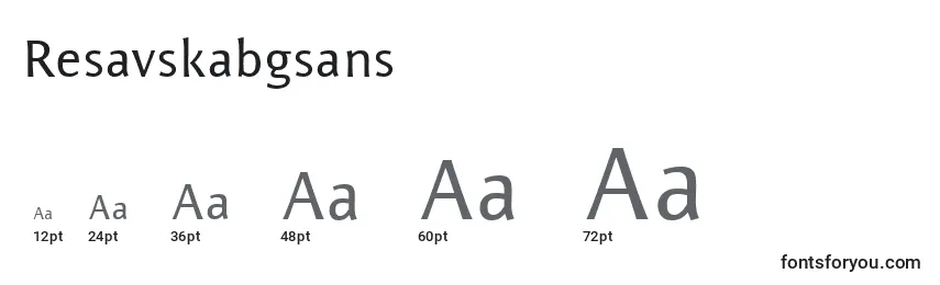 Размеры шрифта Resavskabgsans