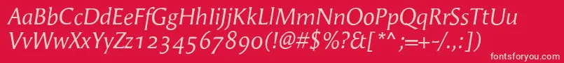AngieItalicosf Font – Pink Fonts on Red Background