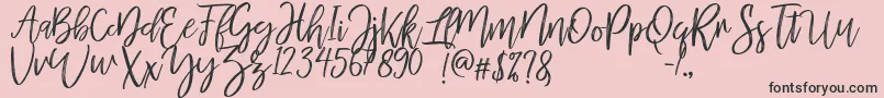 MellonyDryBrush Font – Black Fonts on Pink Background
