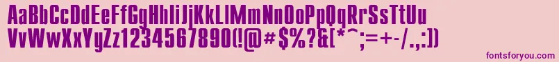 Police Compactb – polices violettes sur fond rose