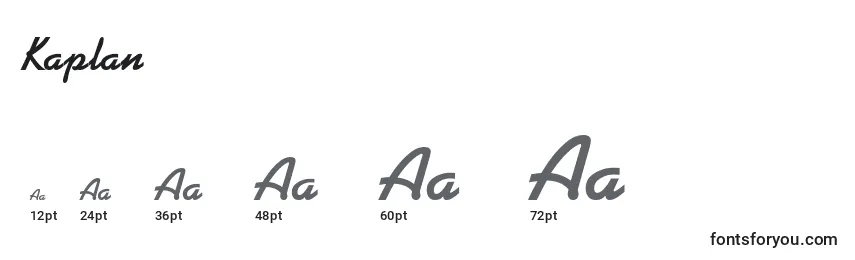 Kaplan Font Sizes