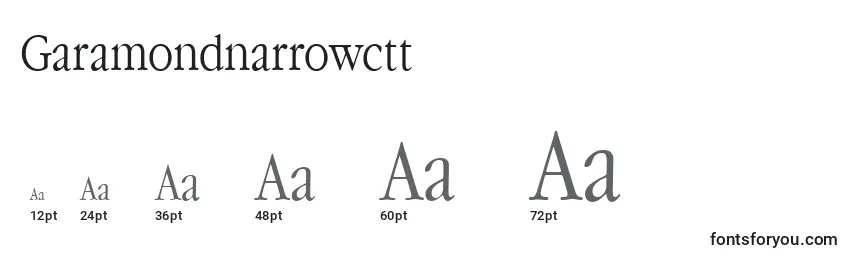 Размеры шрифта Garamondnarrowctt