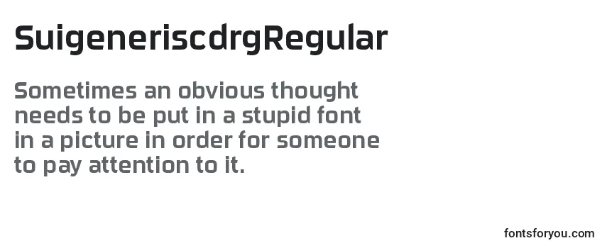 Review of the SuigeneriscdrgRegular Font