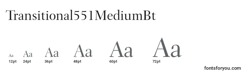 Размеры шрифта Transitional551MediumBt