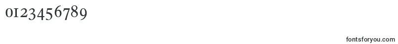 FranciscoserialRegular Font – Fonts for Numbers and Digits