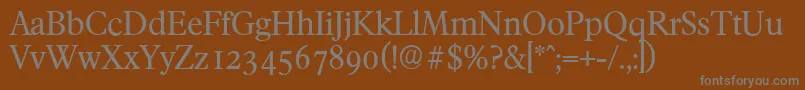フォントFranciscoserialRegular – 茶色の背景に灰色の文字