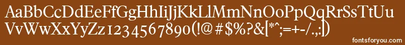 FranciscoserialRegular-Schriftart – Weiße Schriften auf braunem Hintergrund