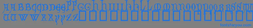 En savoir plus sur la police DecoratedMajuscules14thC. Police DecoratedMajuscules14thC. – polices bleues sur fond gris