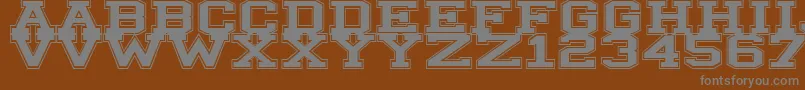 Illinois Font – Gray Fonts on Brown Background