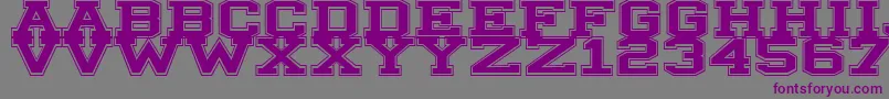 Шрифт Illinois – фиолетовые шрифты на сером фоне