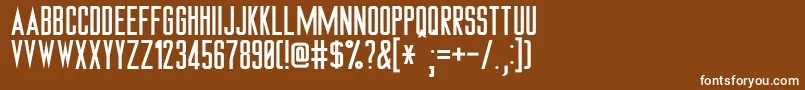 TrekTngMonitors Font – White Fonts on Brown Background