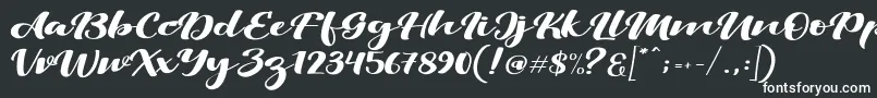 ViksiScript Font – White Fonts