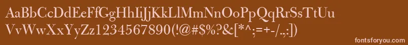 BulmerMtRegularDisplay Font – Pink Fonts on Brown Background