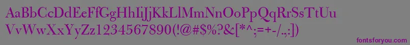 Шрифт BulmerMtRegularDisplay – фиолетовые шрифты на сером фоне