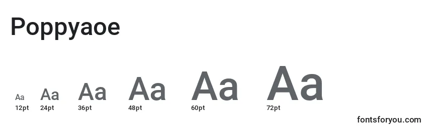 Poppyaoe Font Sizes
