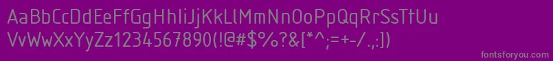 IsonormRegular Font – Gray Fonts on Purple Background