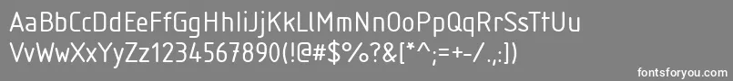 IsonormRegular Font – White Fonts on Gray Background